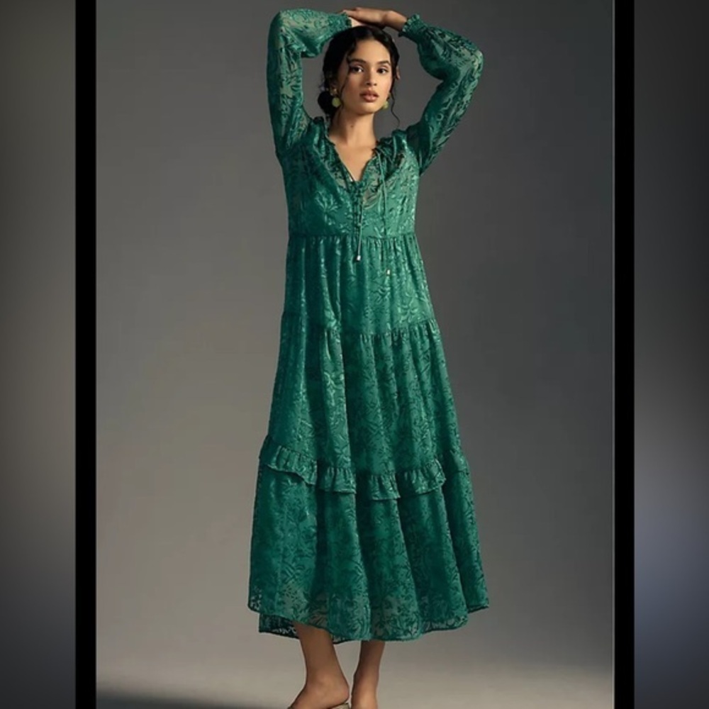 Anthropologie The Marais Satin Burn out edition Maxi dress